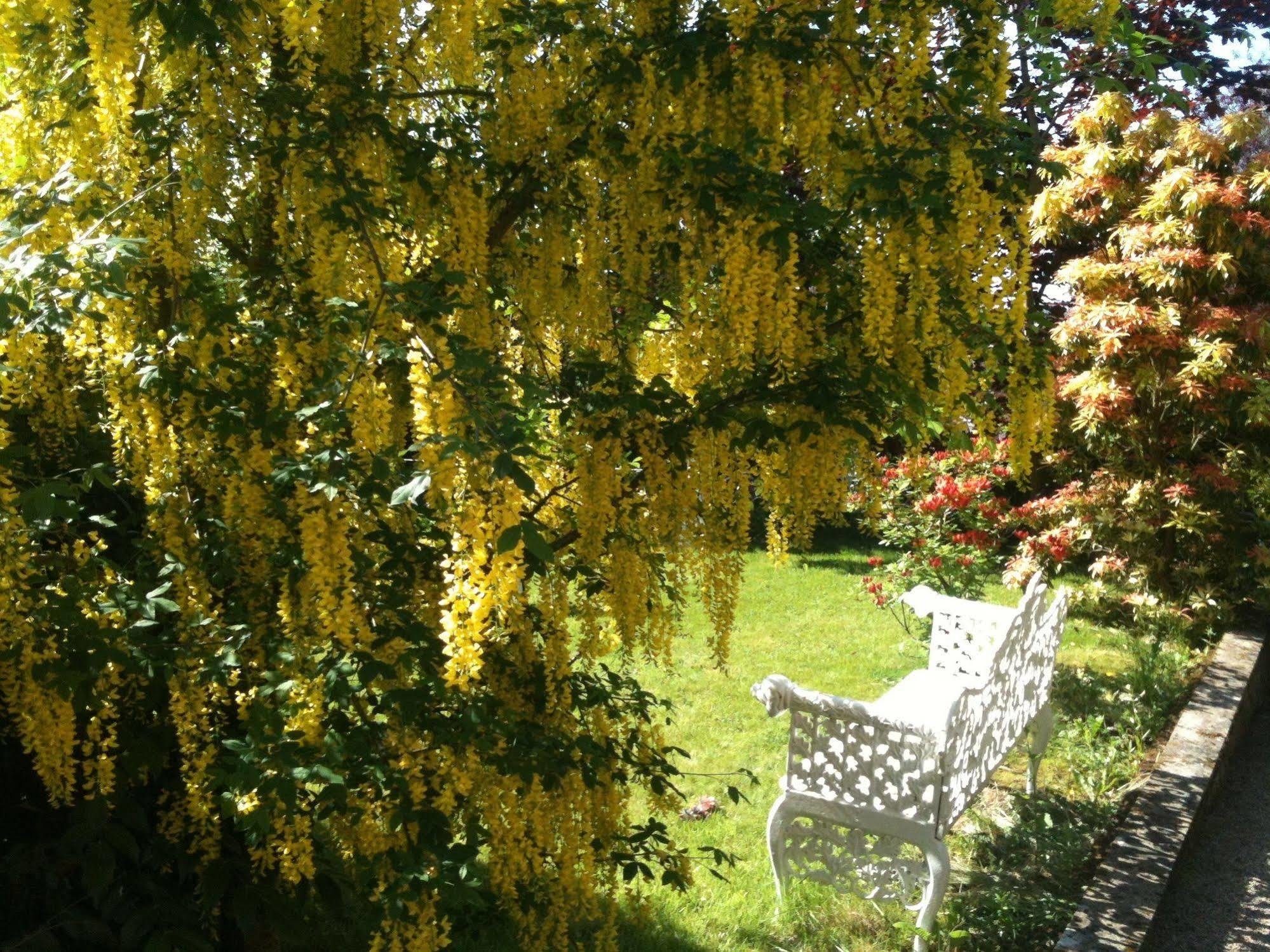 Charlemont House Moy Bed & Breakfast Dış mekan fotoğraf